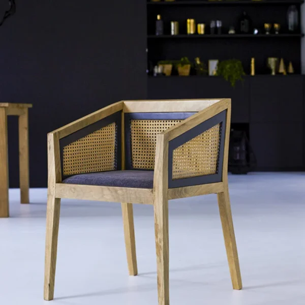 Kanav Mango Wood Chair